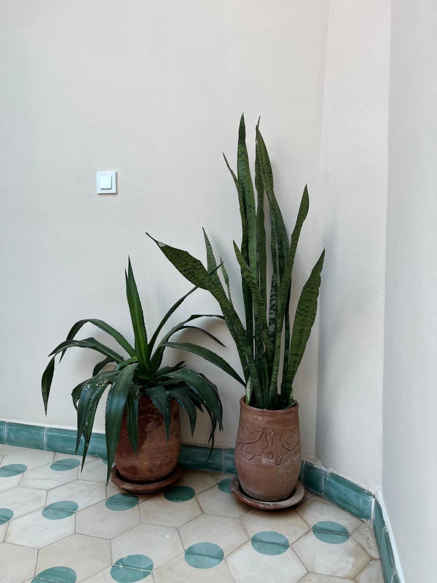 Riad Imndi 마라케시 외부 사진